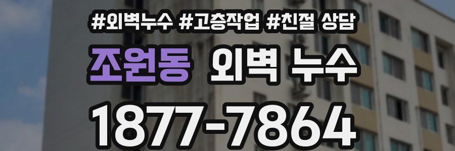 조원동 외벽 누수