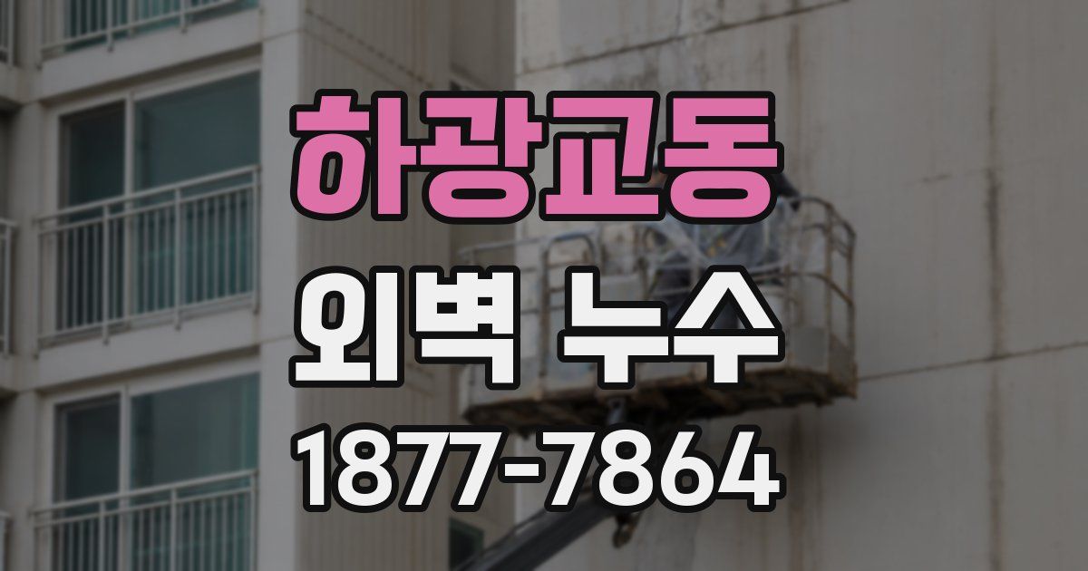 하광교동 외벽 누수