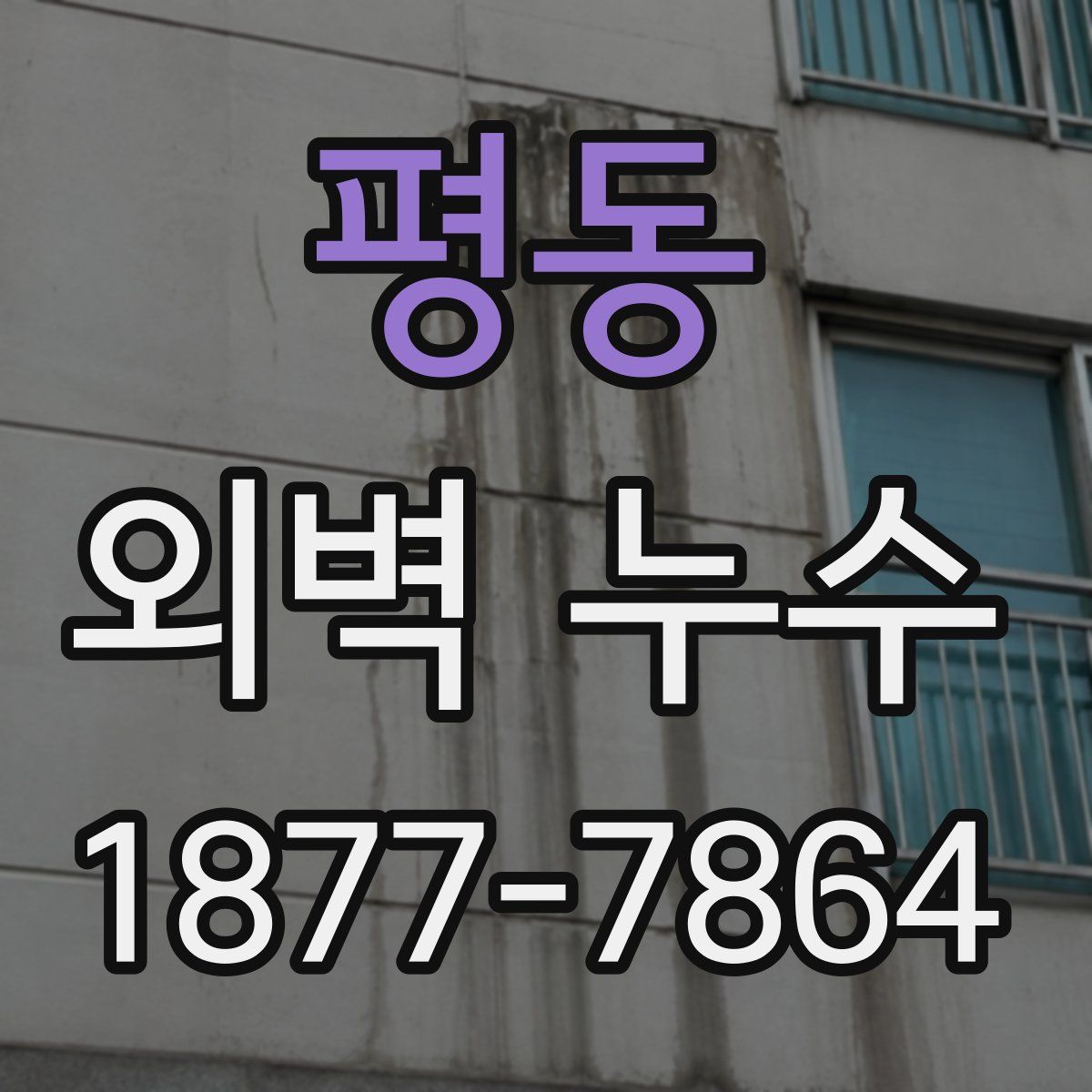평동 외벽 누수