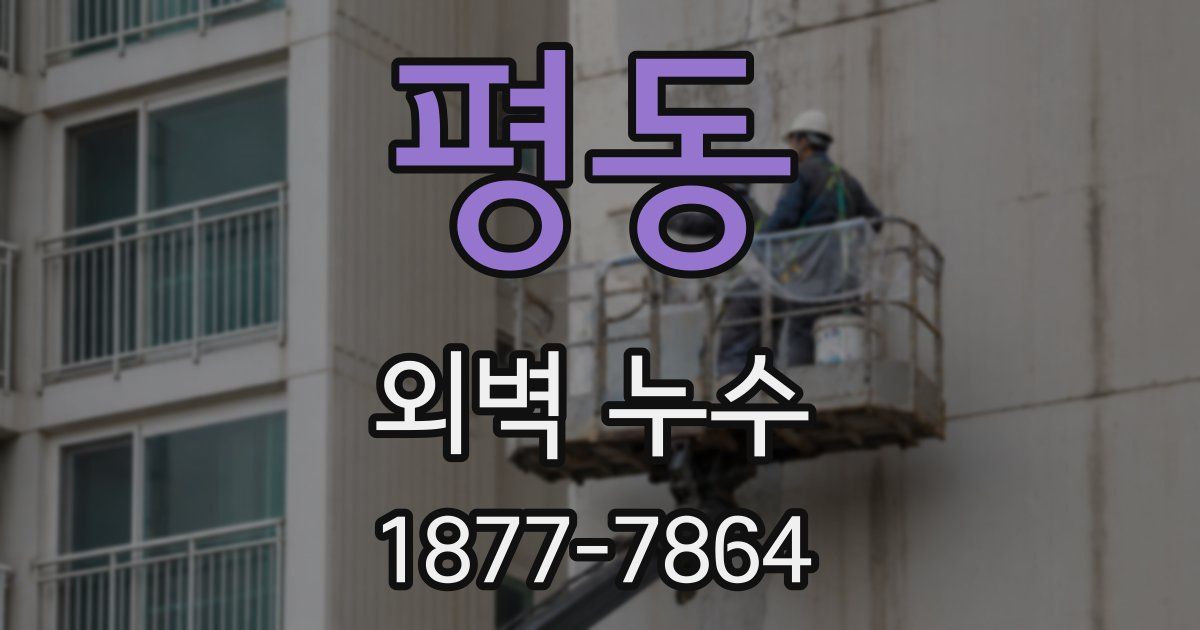 평동 외벽 누수