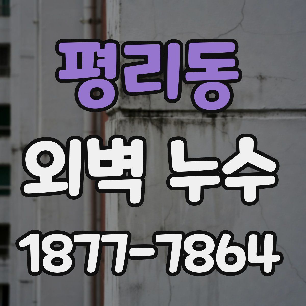 평리동 외벽 누수