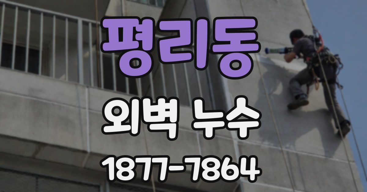 평리동 외벽 누수