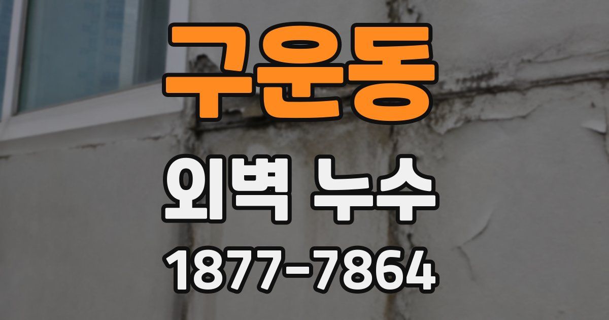 구운동 외벽 누수
