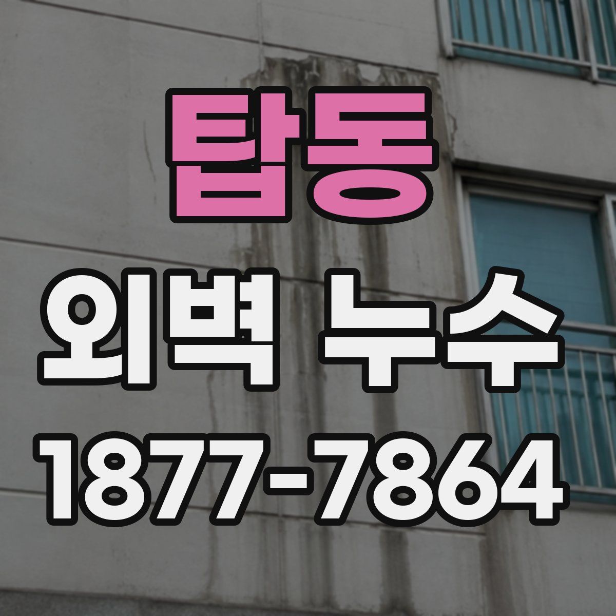 탑동 외벽 누수