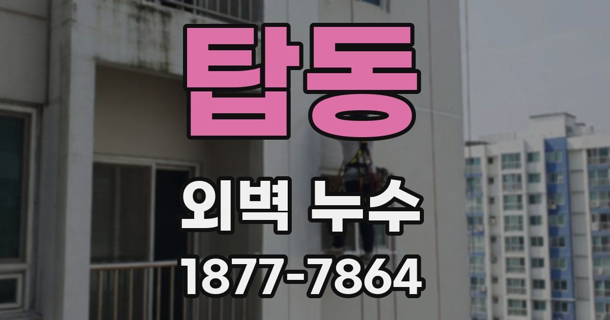 탑동 외벽 누수