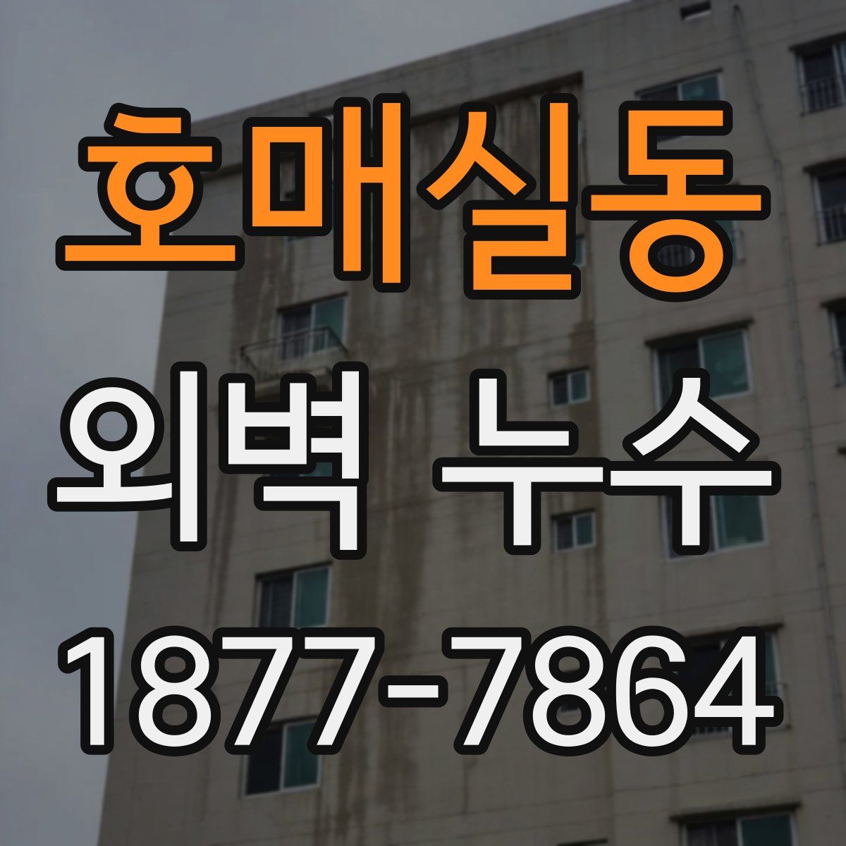 호매실동 외벽 누수