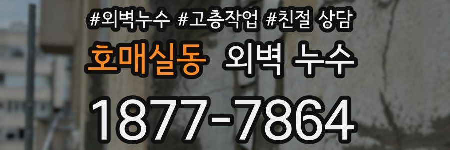 호매실동 외벽 누수