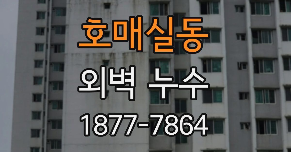 호매실동 외벽 누수