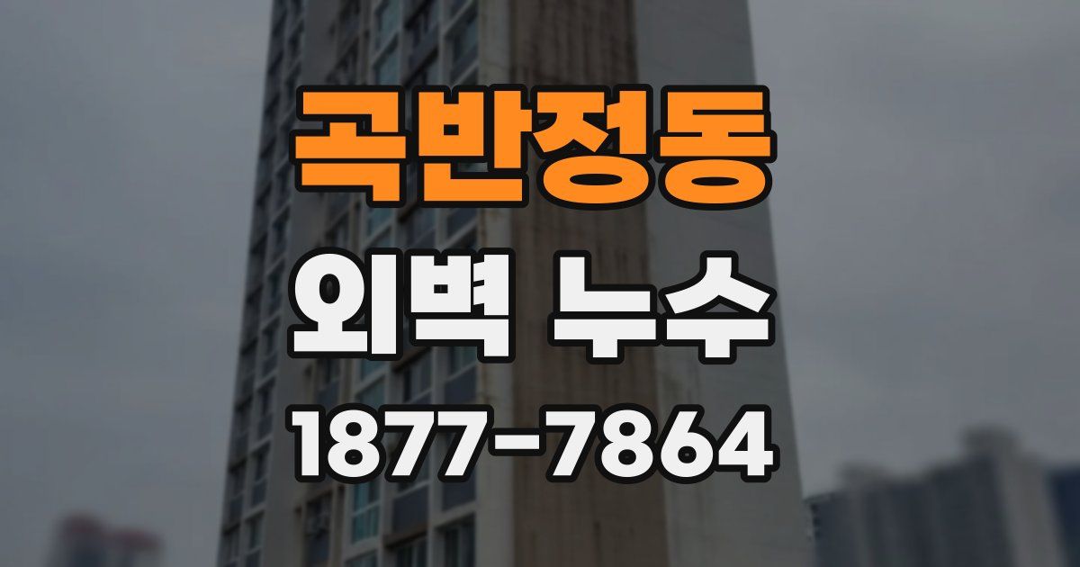 곡반정동 외벽 누수
