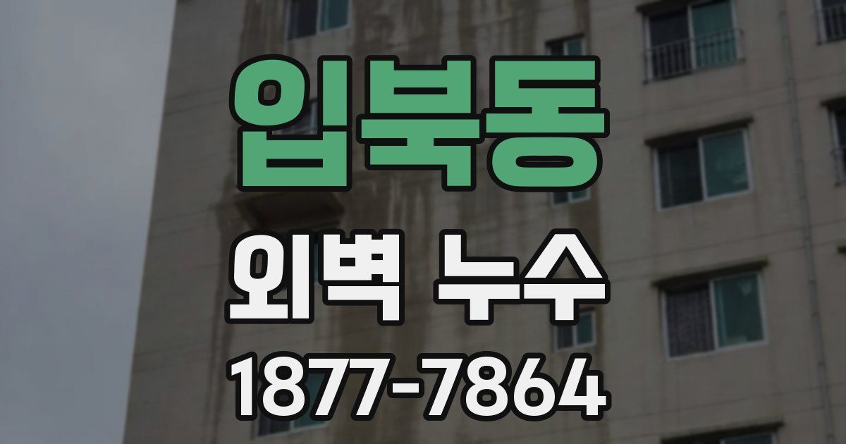 입북동 외벽 누수