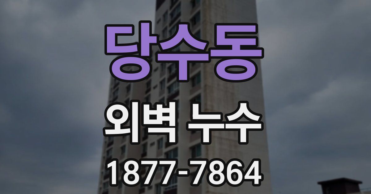 당수동 외벽 누수