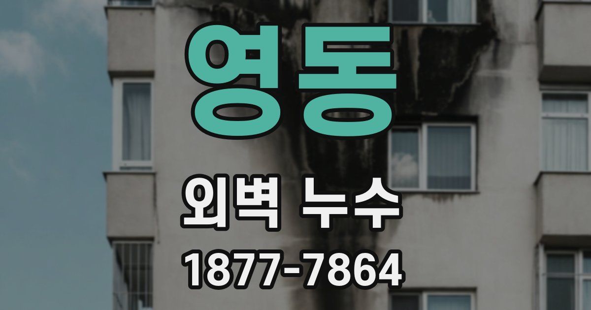 영동 외벽 누수