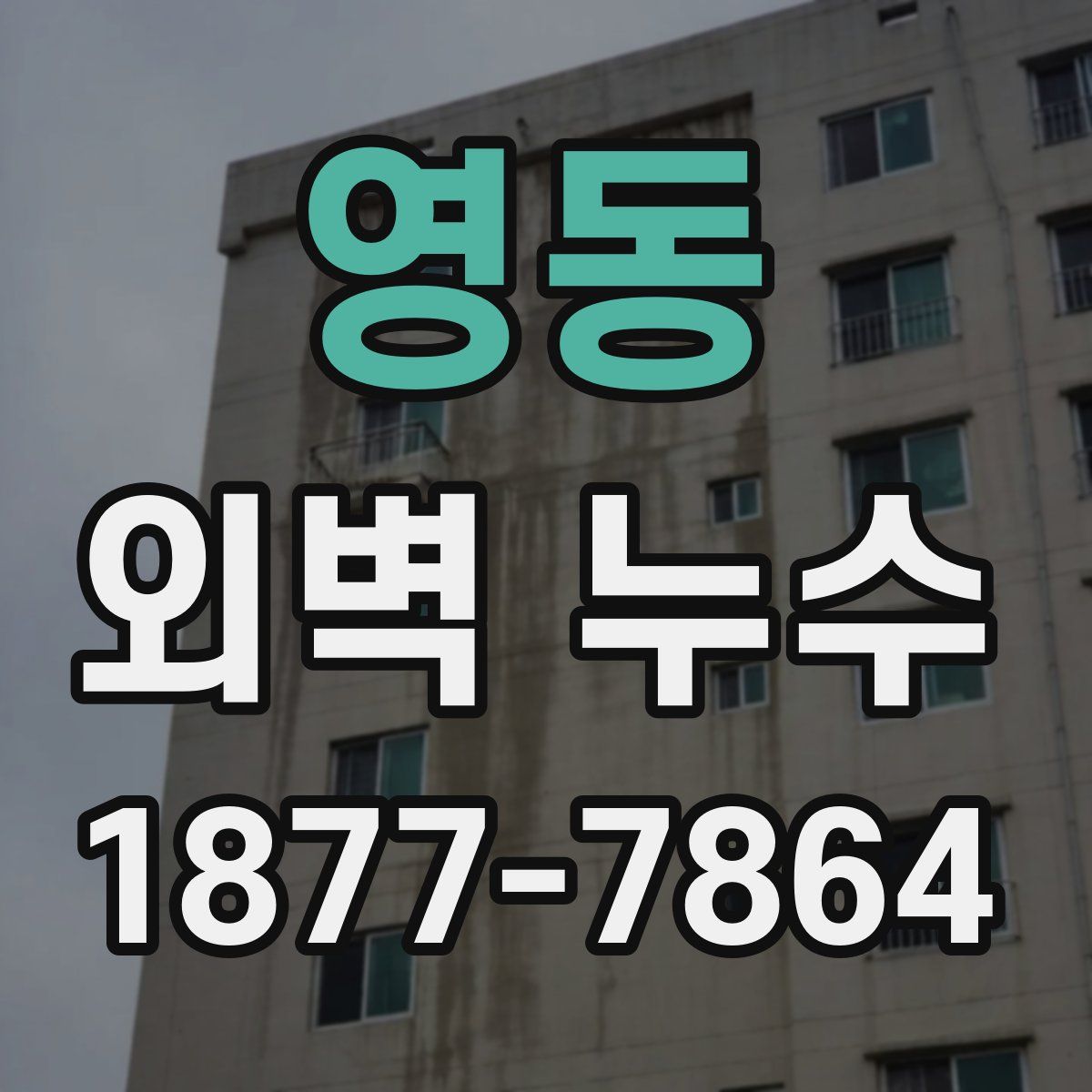 영동 외벽 누수