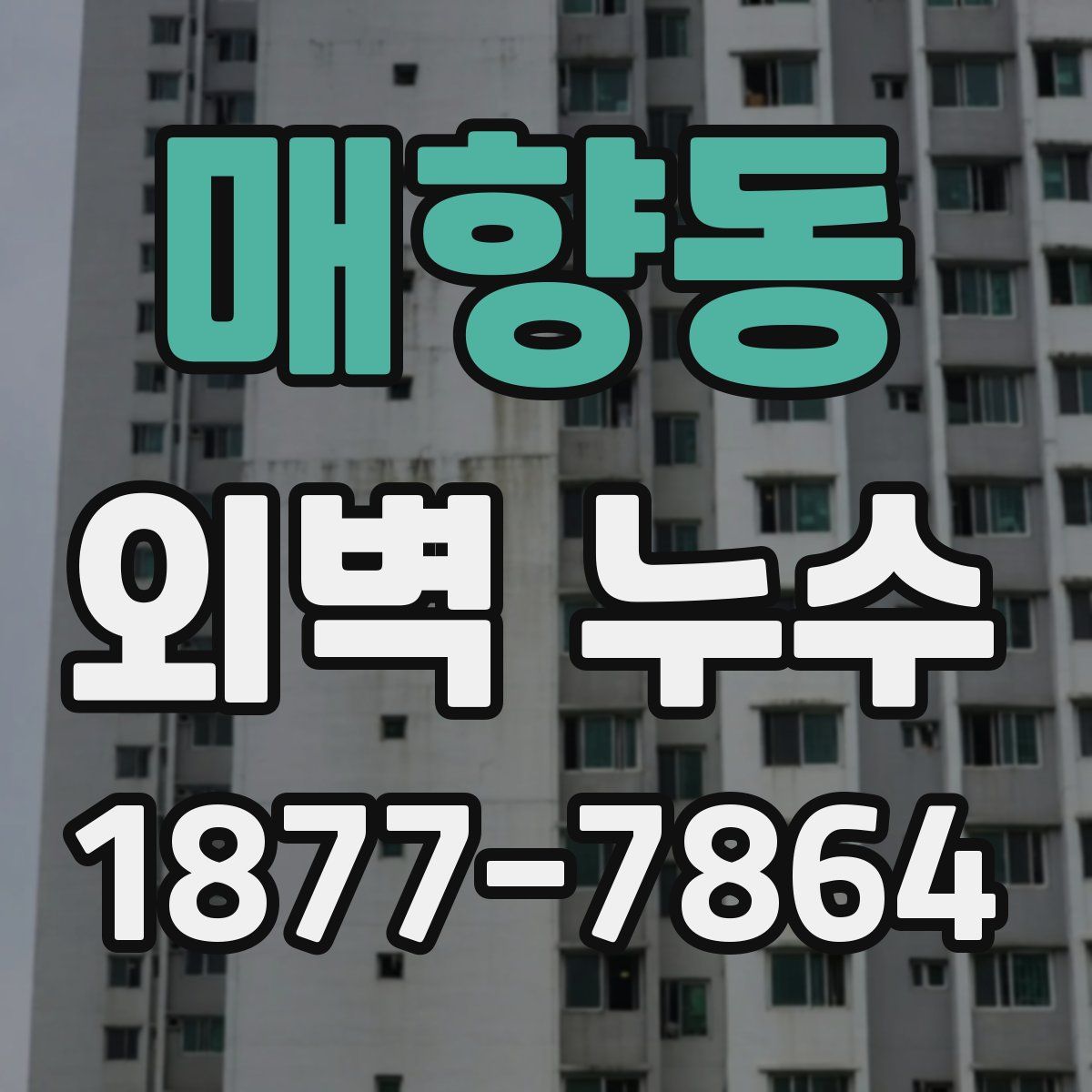 매향동 외벽 누수