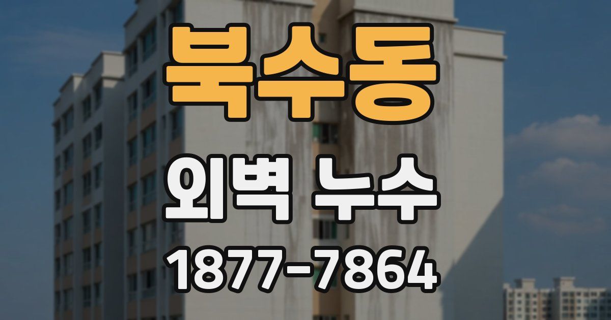 북수동 외벽 누수