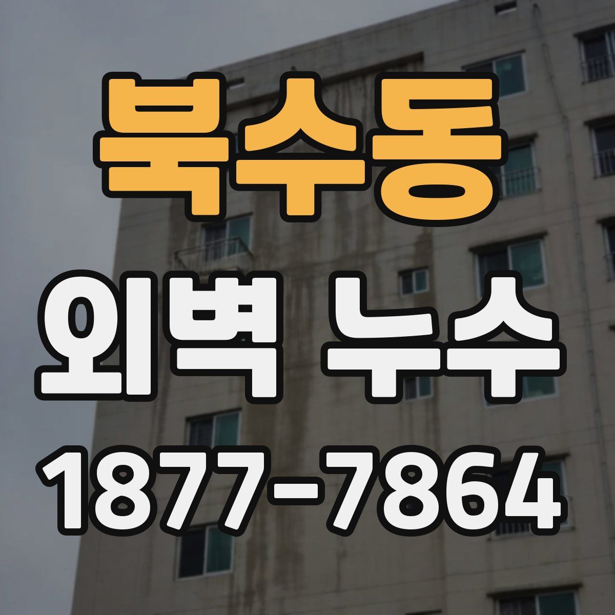 북수동 외벽 누수