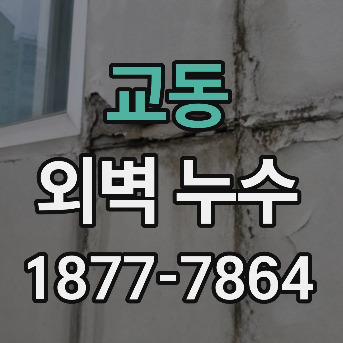 교동 외벽 누수