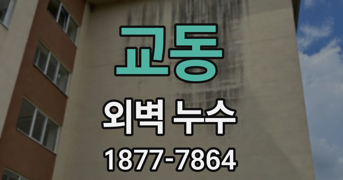 교동 외벽 누수
