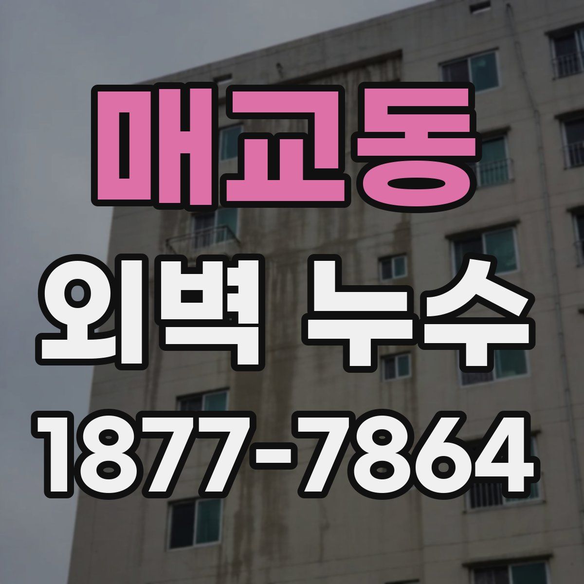 매교동 외벽 누수