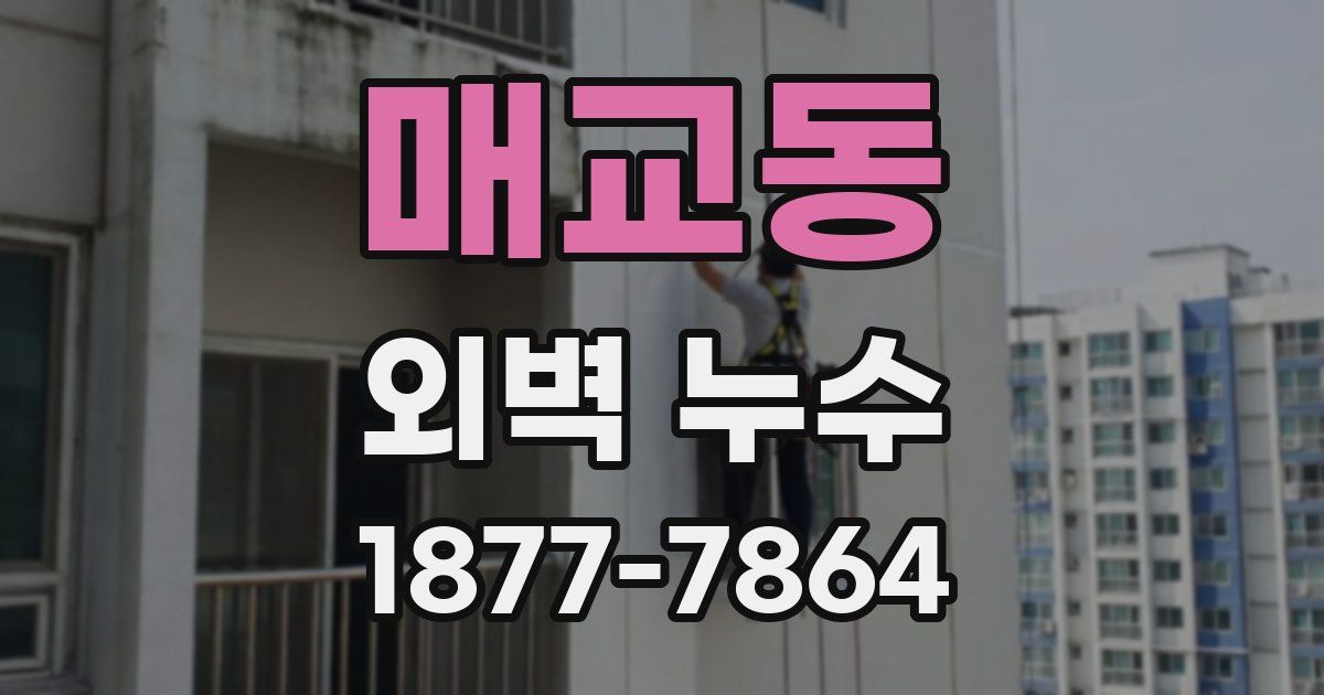 매교동 외벽 누수