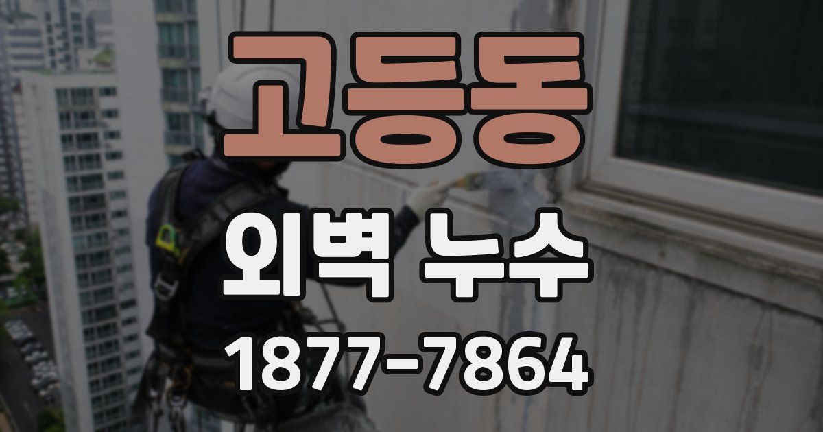 고등동 외벽 누수