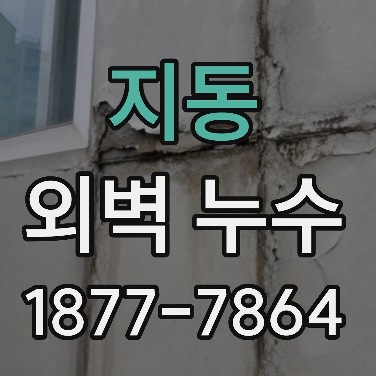 지동 외벽 누수