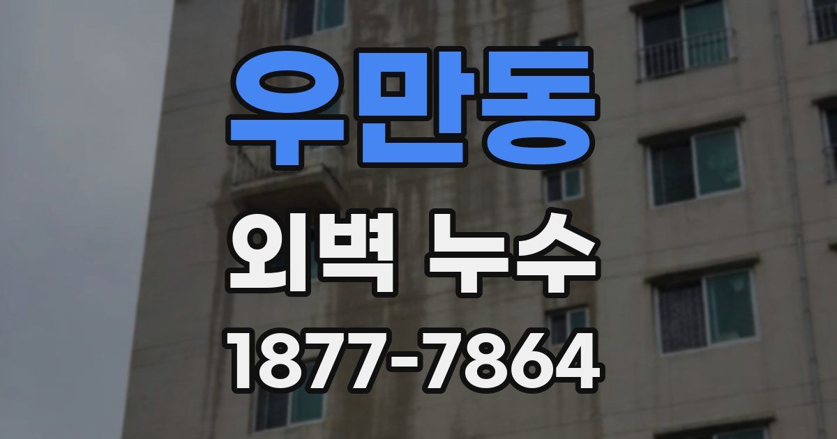 우만동 외벽 누수