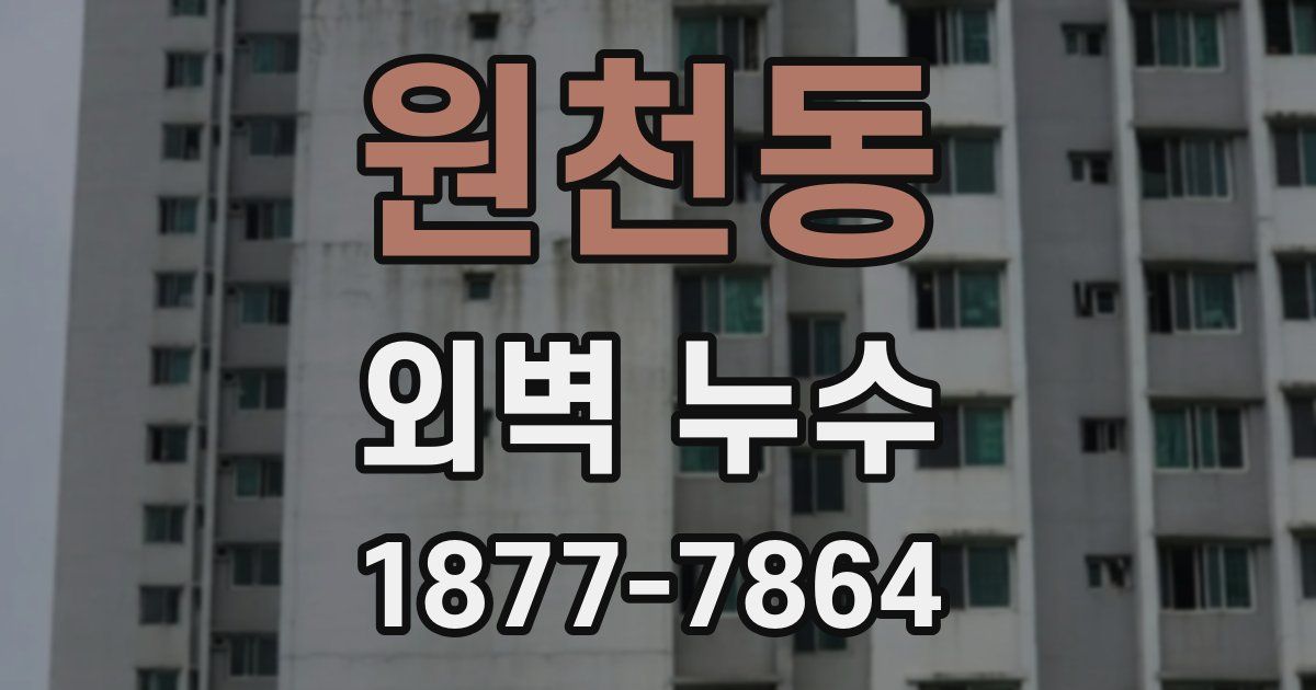 원천동 외벽 누수
