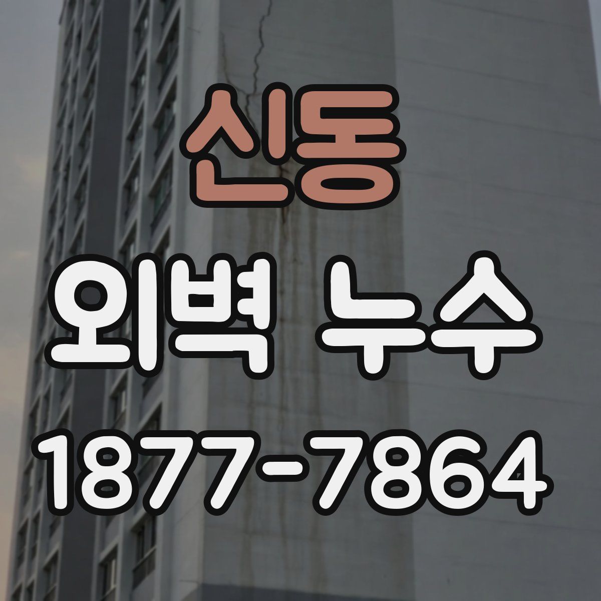 신동 외벽 누수
