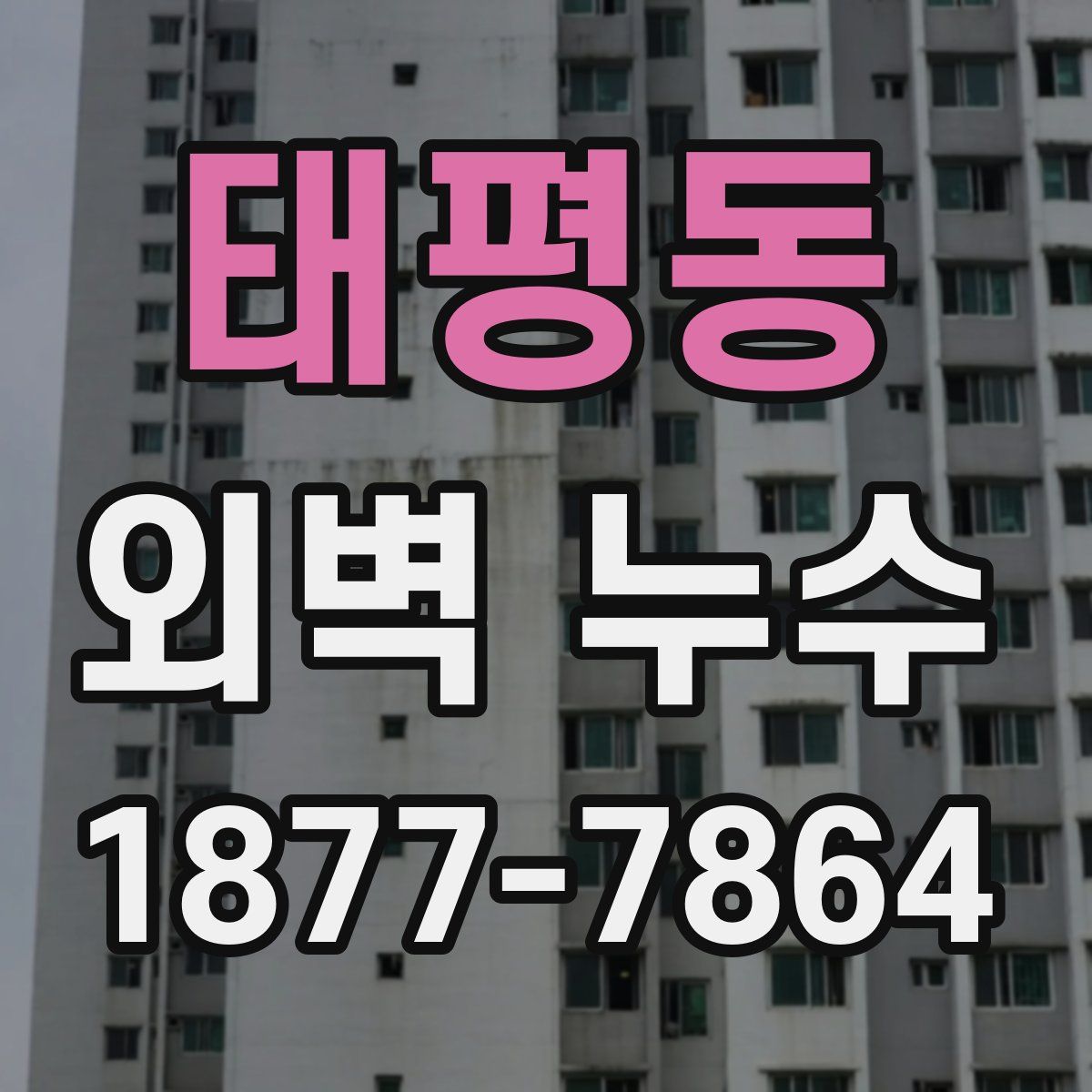 태평동 외벽 누수