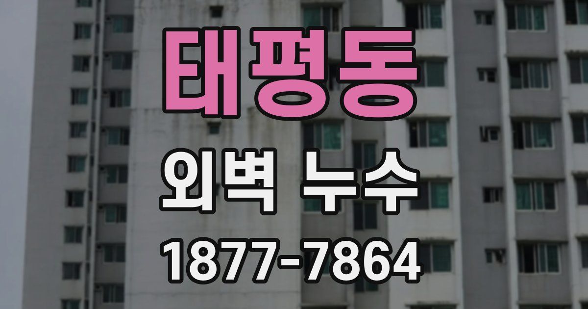 태평동 외벽 누수