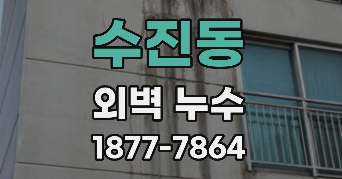 수진동 외벽 누수