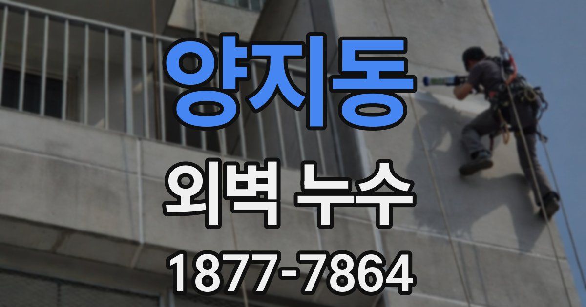 양지동 외벽 누수