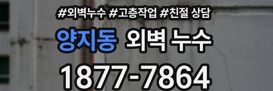 양지동 외벽 누수