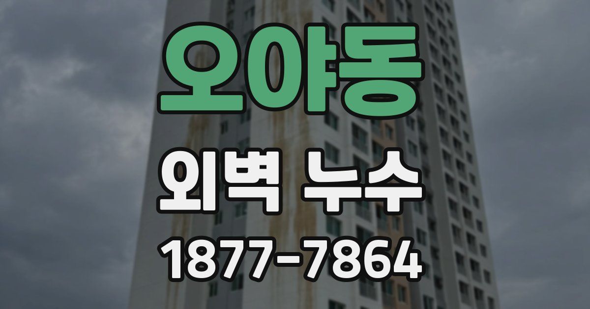 오야동 외벽 누수