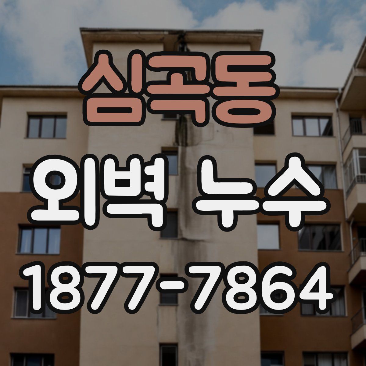 심곡동 외벽 누수