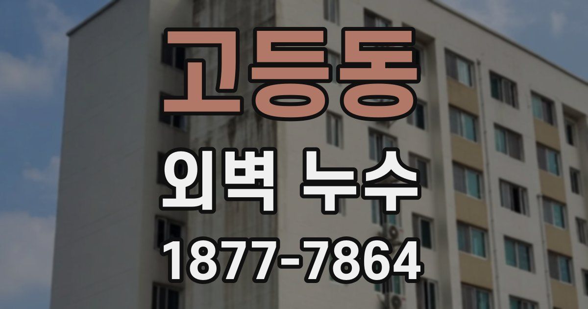 고등동 외벽 누수