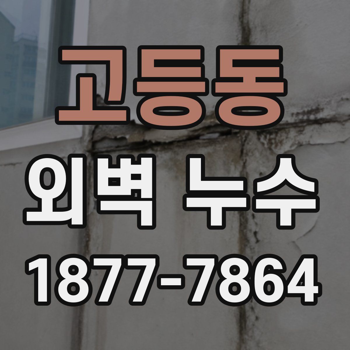 고등동 외벽 누수