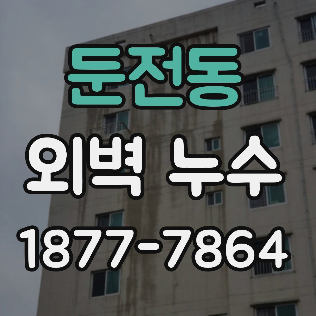 둔전동 외벽 누수