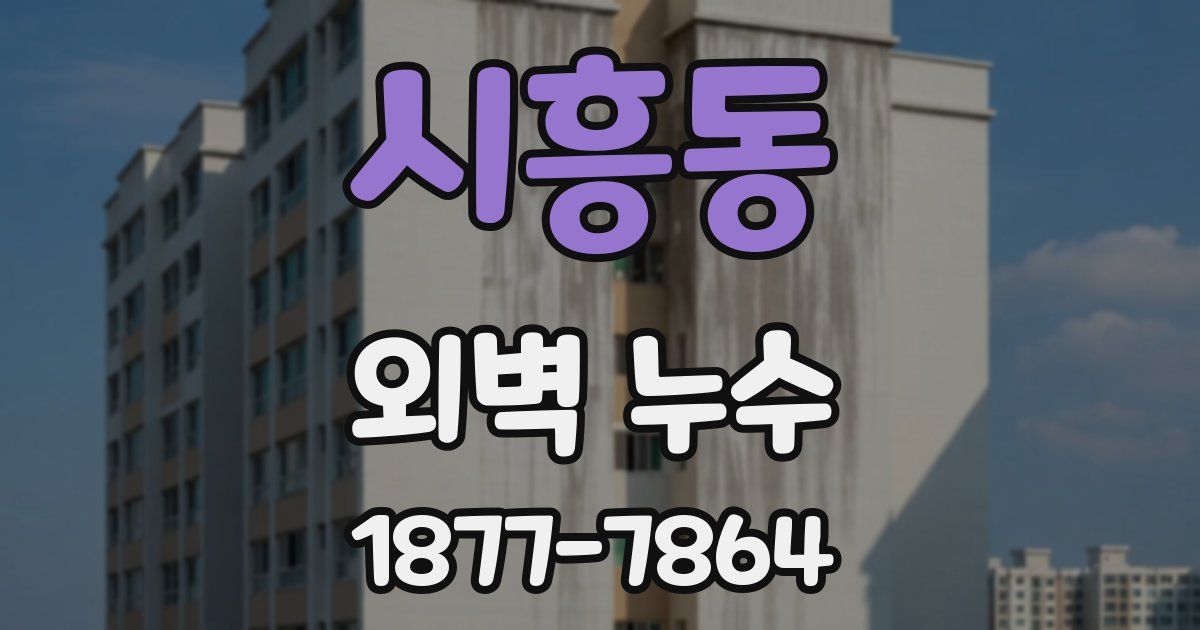 시흥동 외벽 누수