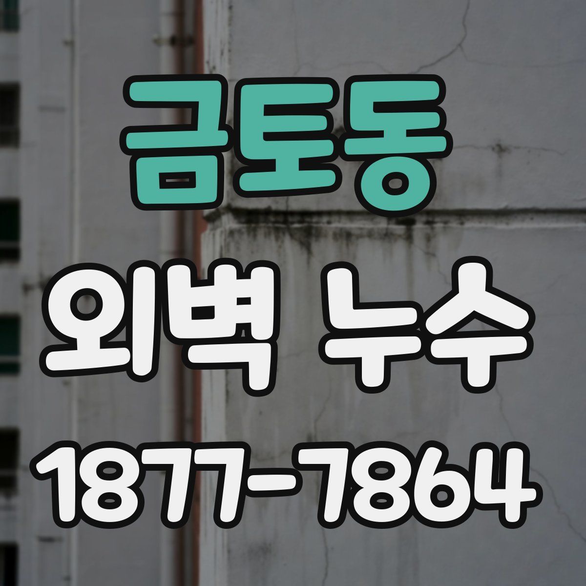 금토동 외벽 누수