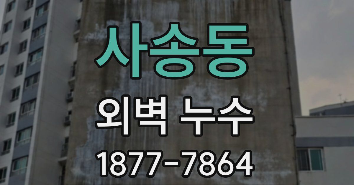 사송동 외벽 누수