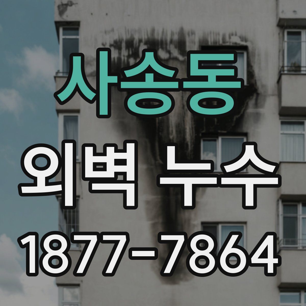 사송동 외벽 누수