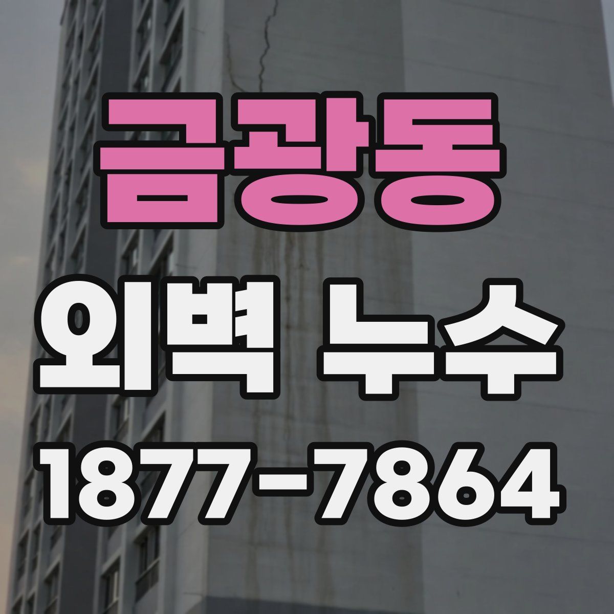 금광동 외벽 누수