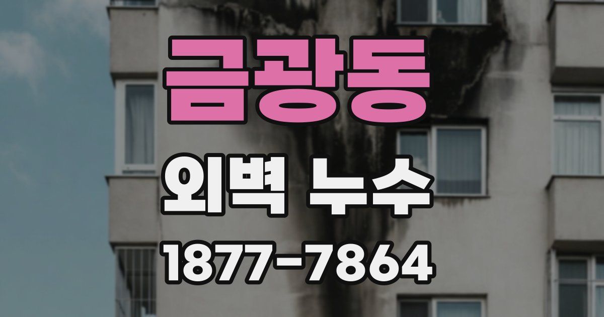 금광동 외벽 누수