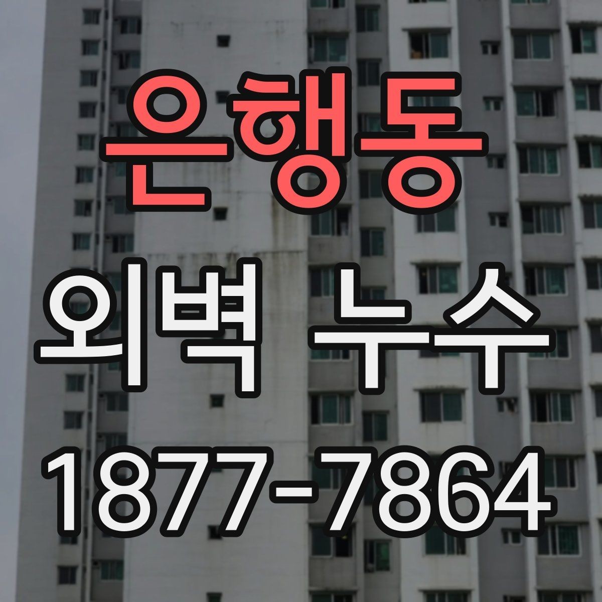 은행동 외벽 누수 재발을 막는 보수 후 관리