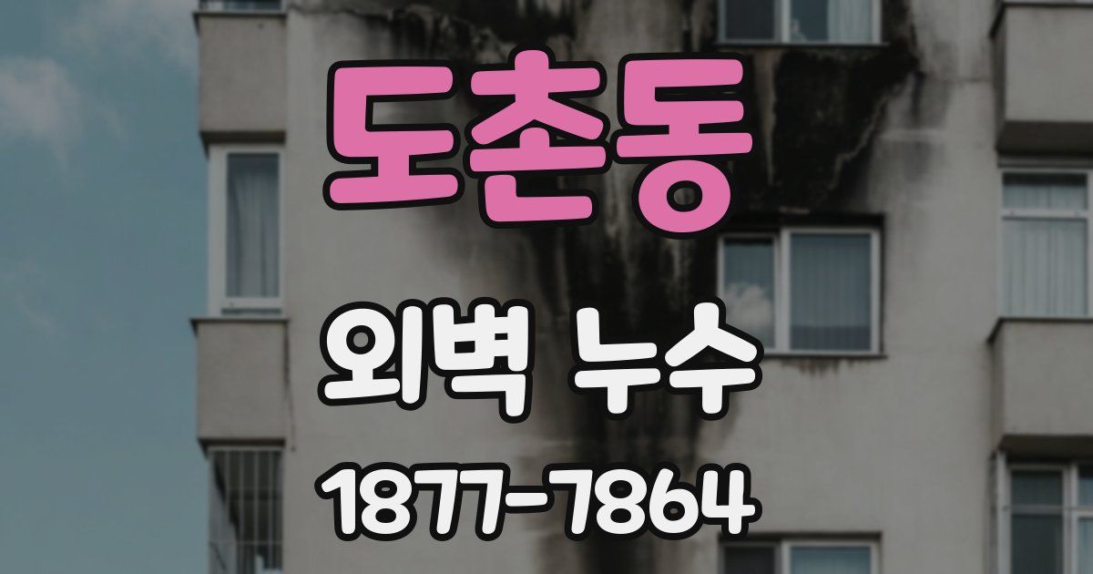 도촌동 외벽 누수
