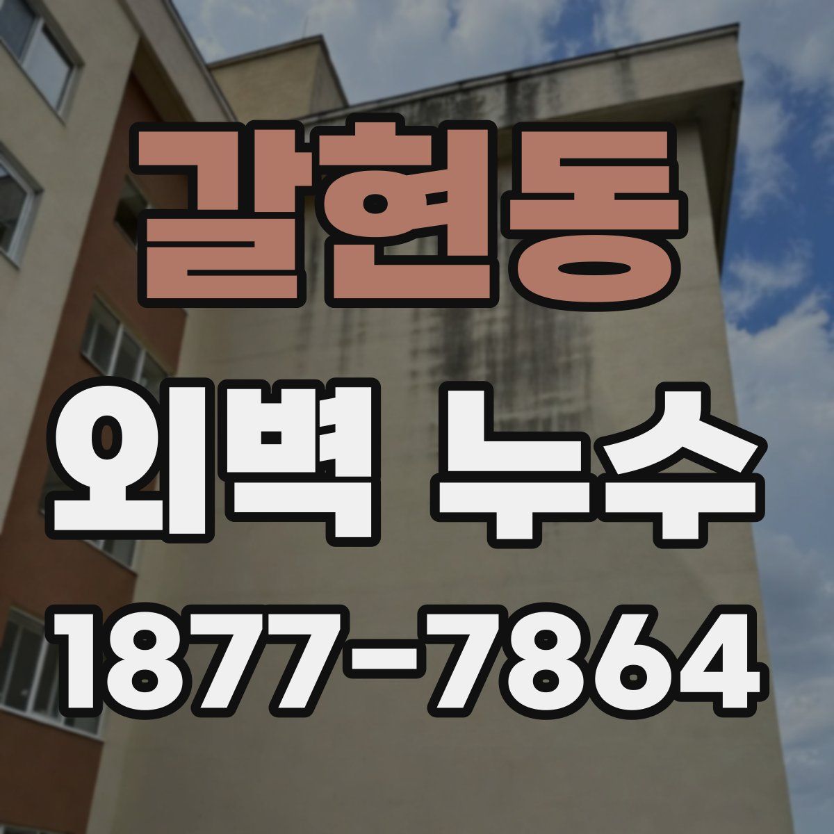 갈현동 외벽 누수
