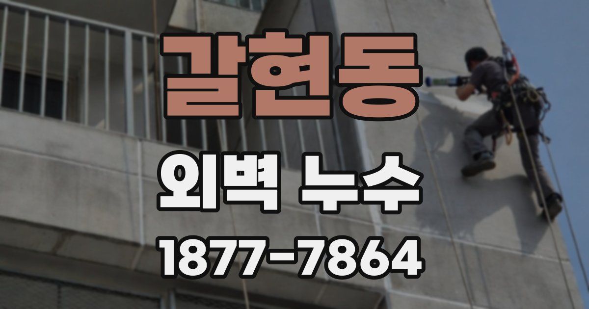 갈현동 외벽 누수