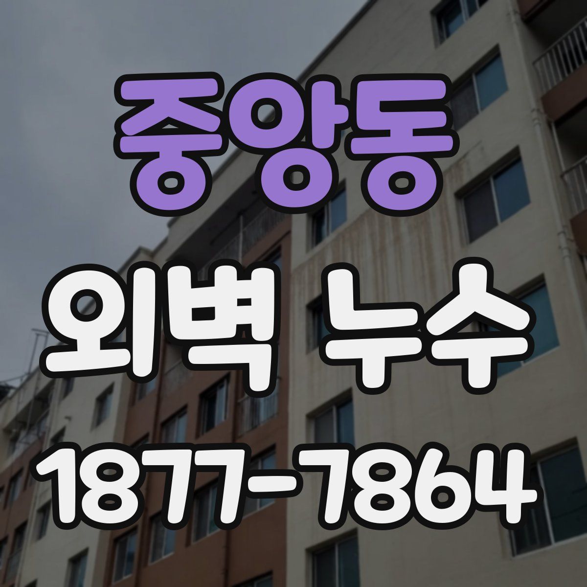 중앙동 외벽 누수